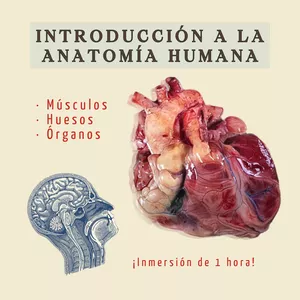 Introducción a la Anatomía Humana