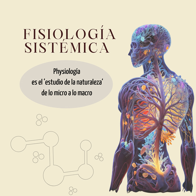 fisio sistemica Fisiología sistémica - Imagen 1